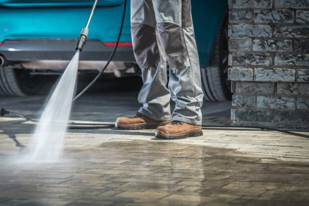 Best Soft Washing  in Stottville, NY
